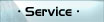 Service